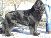 Превью фото № 178664