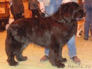 Превью фото № 178668