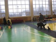 Превью фото № 178695