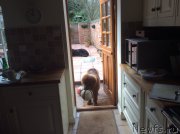 Превью фото № 178722