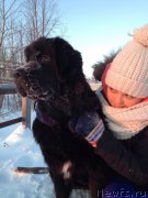 Превью фото № 178723