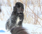 Превью фото № 178732