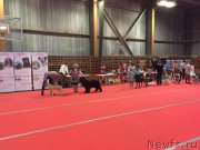 Превью фото № 178815