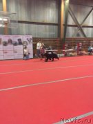 Превью фото № 178818