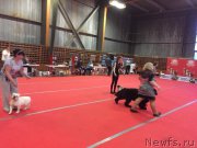 Превью фото № 178820