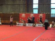 Превью фото № 178824