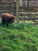 Превью фото № 178851