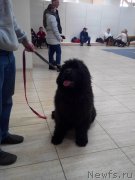 Превью фото № 178853