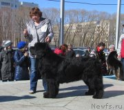 Превью фото № 178860