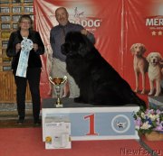 Превью фото № 178865