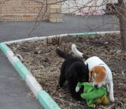 Превью фото № 178972