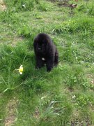 Превью фото № 178997