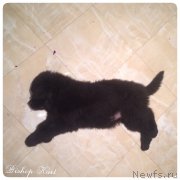 Превью фото № 178999