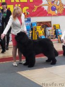 Превью фото № 179043