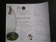 Превью фото № 179092