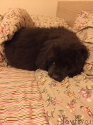 Превью фото № 179131