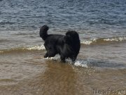 Превью фото № 179140