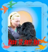 Превью фото № 179141