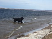 Превью фото № 179142