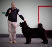 Превью фото № 179158