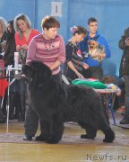 Превью фото № 179182