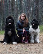 Превью фото № 179318