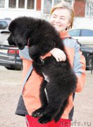 Превью фото № 179359