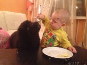 Превью фото № 179395