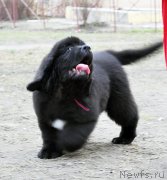 Превью фото № 179447