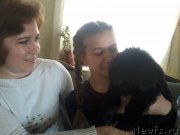 Превью фото № 179465