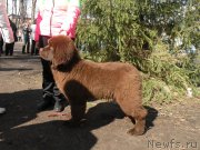 Превью фото № 179492