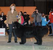 Превью фото № 179503