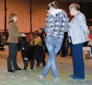 Превью фото № 179505