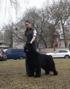 Превью фото № 179606