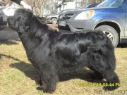 Превью фото № 179630