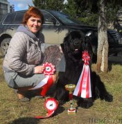 Превью фото № 179632