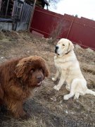 Превью фото № 179633