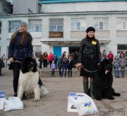 Превью фото № 179656