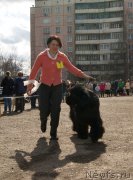 Превью фото № 179657