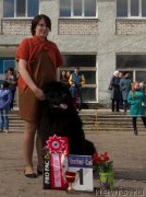 Превью фото № 179658