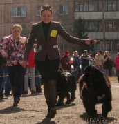 Превью фото № 179662