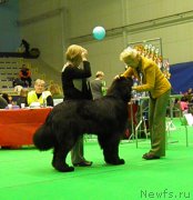 Превью фото № 179690