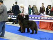 Превью фото № 179712