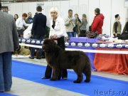 Превью фото № 179714