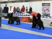 Превью фото № 179716