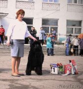 Превью фото № 179727