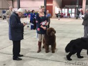 Превью фото № 179740