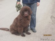 Превью фото № 179743