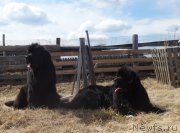 Превью фото № 179746