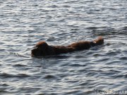 Превью фото № 179821